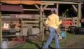 dr dolittle 3-avi_500.jpg